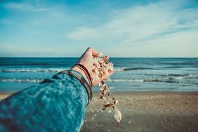 Shell in hand