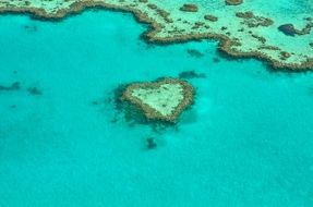 landscape of heart shaped coral reef in Australia