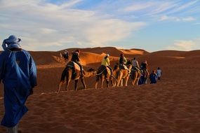 camel caravan with people in the desert