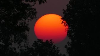 red-hot evening sun