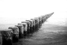 baltic sea Black And White photo