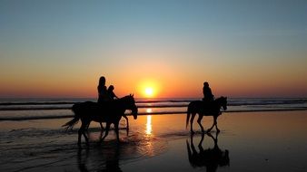 Picture of the people riding on a horses on a beach at the sunset