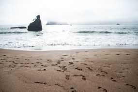 Beautiful landscape with the sandy beach near the ocean