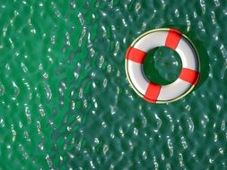 lifebuoy on green water