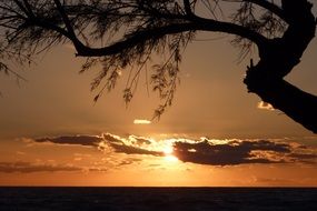 bright sun and golden sunset over Mallorca with silhouettes
