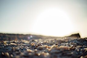 pebbles and shells on Beach at Sunset