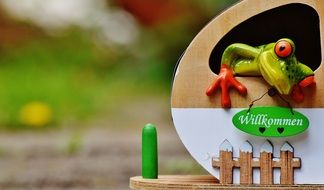 ceramic frog figurine in a house