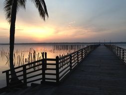 Palm tree on the pier with colorful sunset on horizon