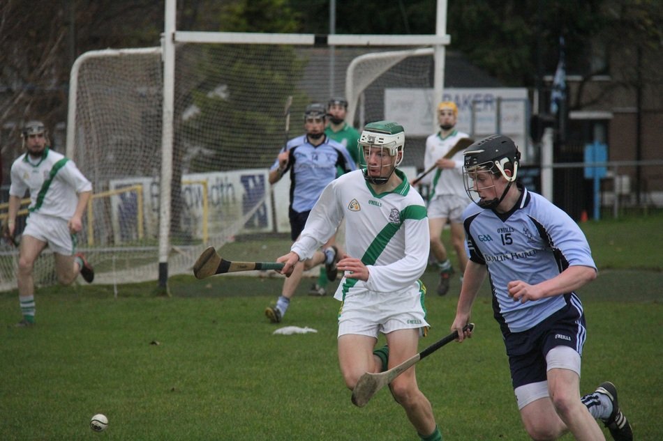 picture of the hurling players