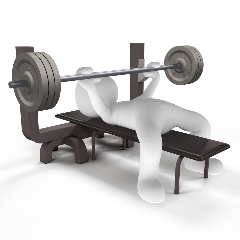 weight training with a barbell on white background