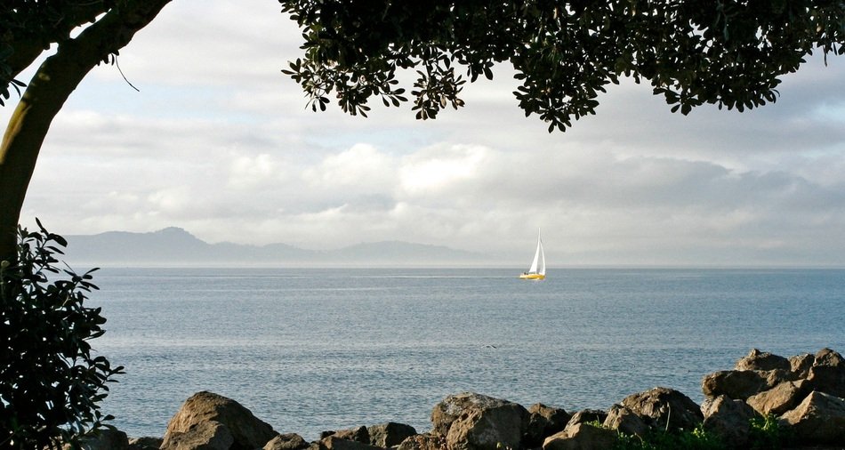 sailing boat in the sea landscape on the bay in san francisco