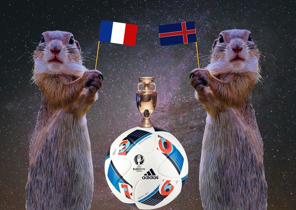 iceland - france picture with rodents
