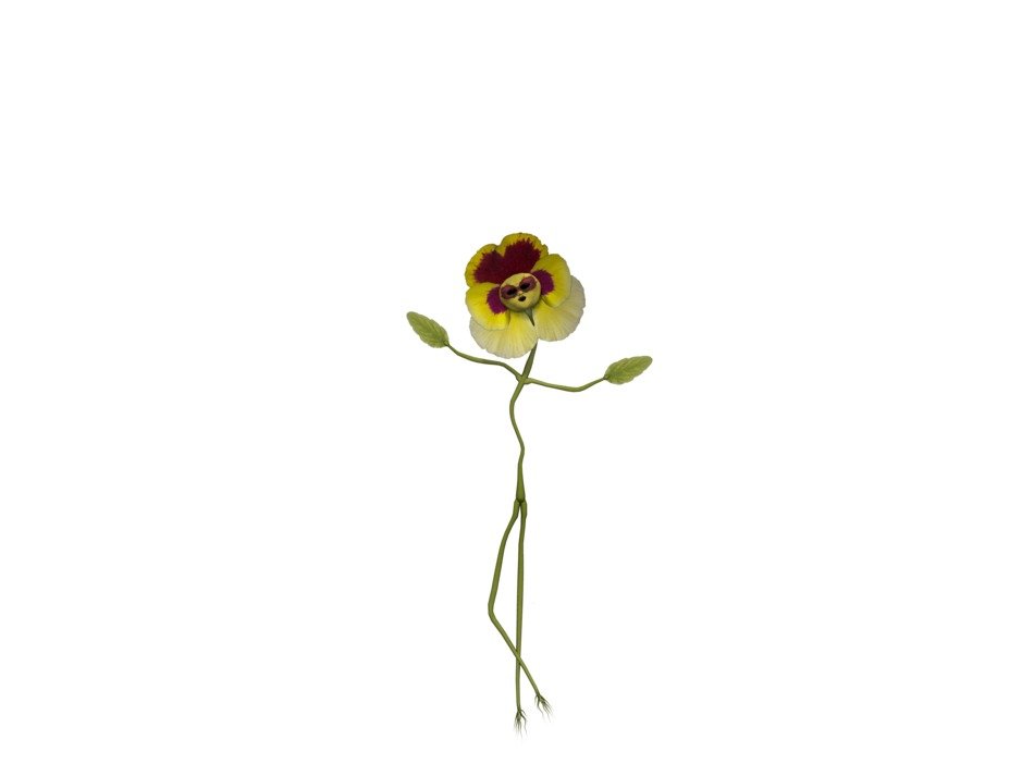 clipart of the Funny Flower