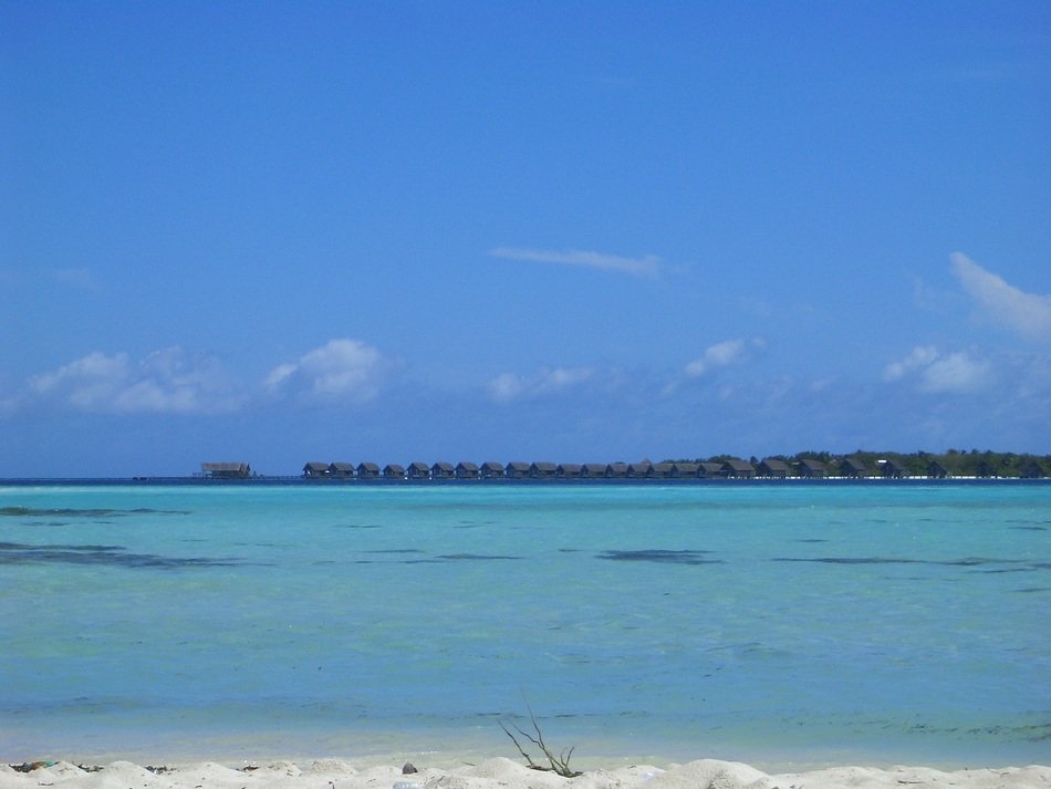 landscape of the sea coast