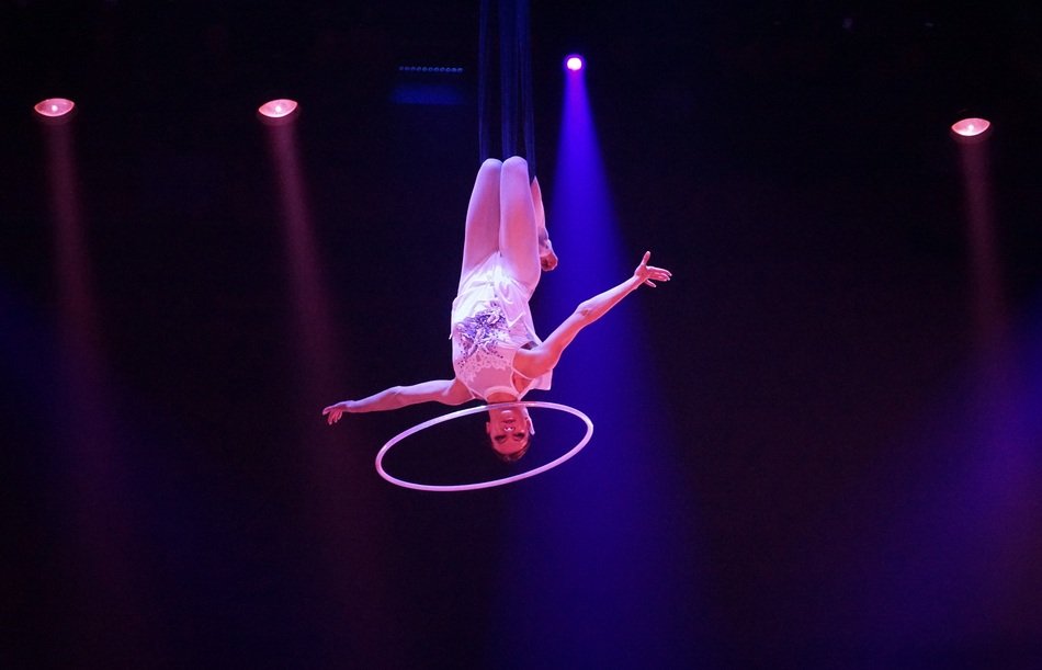 acrobatics under the circus dome