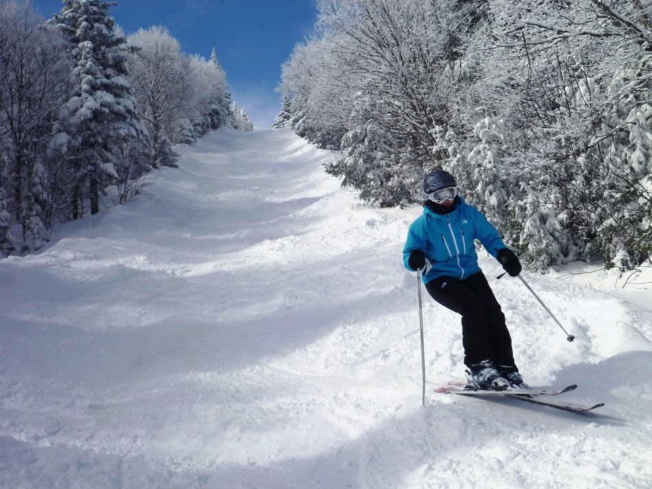 Landscape with the Alpine Skiing in Canada
