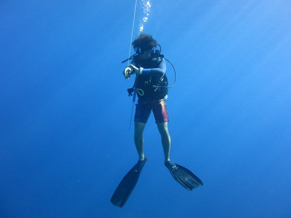 Diver Scuba in the blue sea