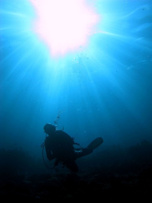 bright sunlight above a diver in the water