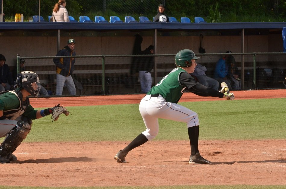 ball catcher behind a batsman in a stadium