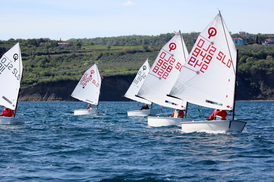 Sailing competition on the water with green shore background