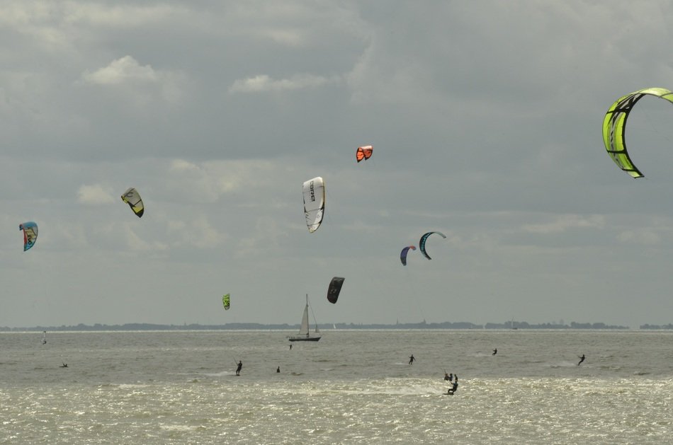 Kites in air