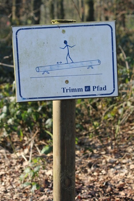 balance on a shield in the forest
