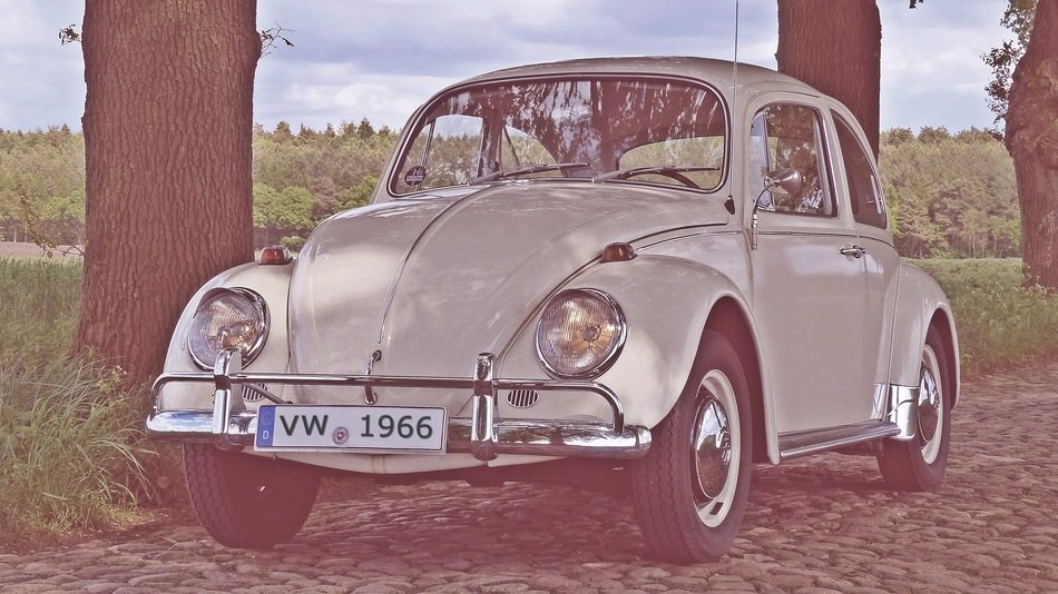 Old photo of a car near the trees