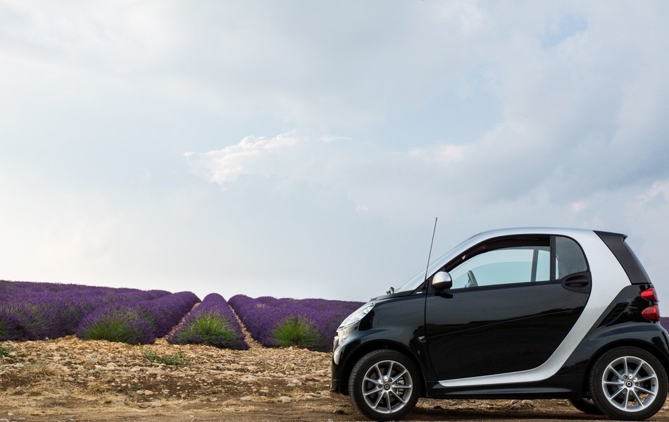 electricсаr and lavender field