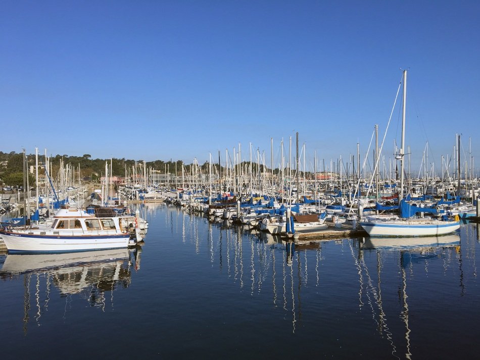 parked yachts in the city harbor