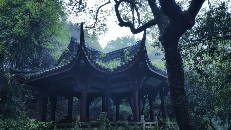 Chinese castle in the forest