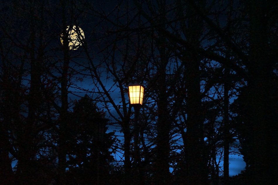 Lantern At Night