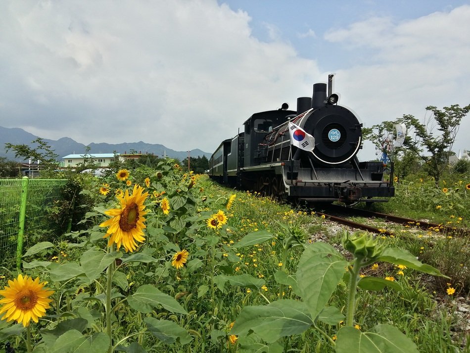 Locomotive in Republic Of Korea