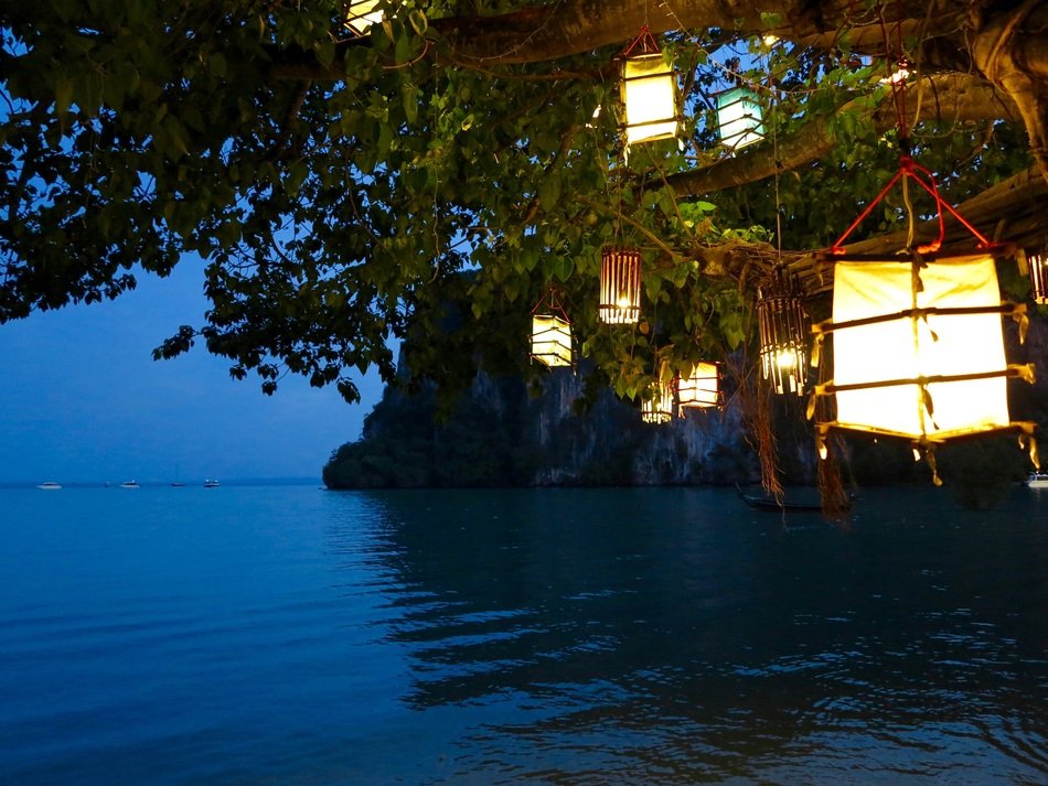 lighting lamp on a trees