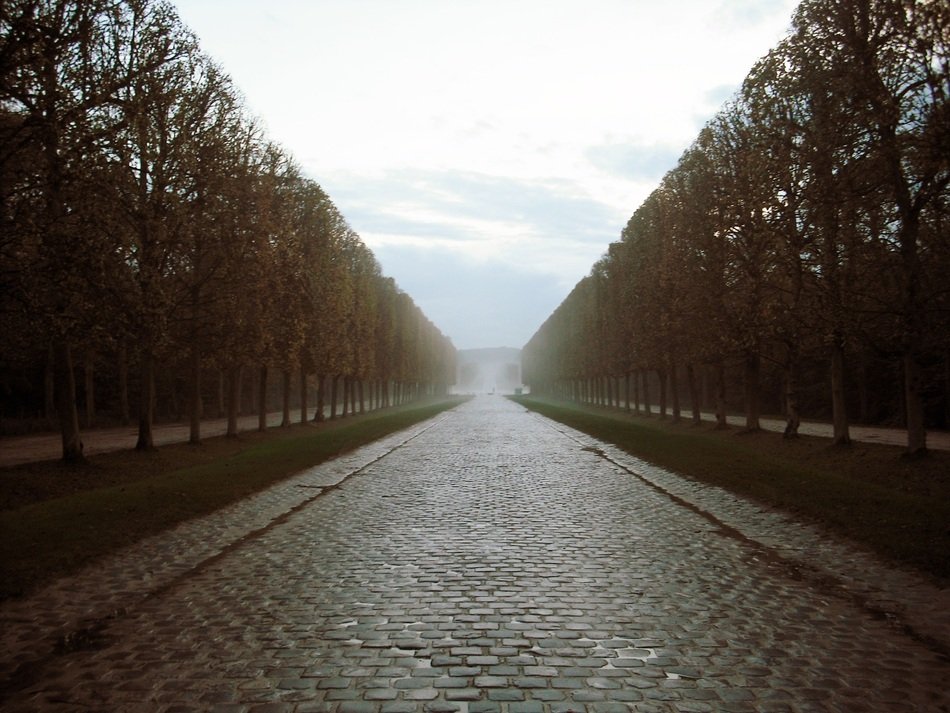 The road between the trees in Paris