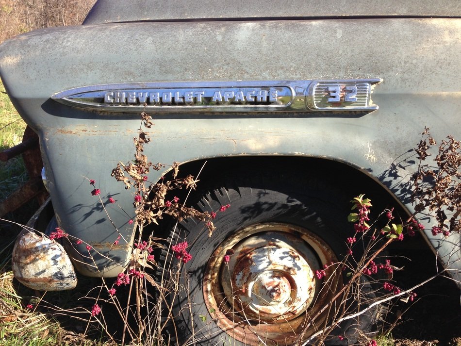 Old vintage Chevrolet car in the plants
