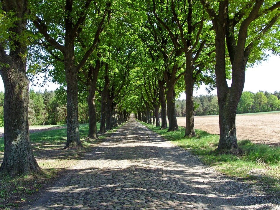 The Historic Verden Road Of All