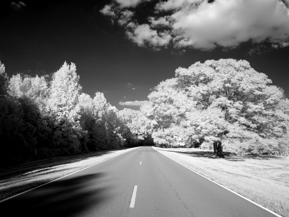 Natchez Trace Parkway is an old road in southern USA