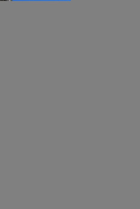 gray background view
