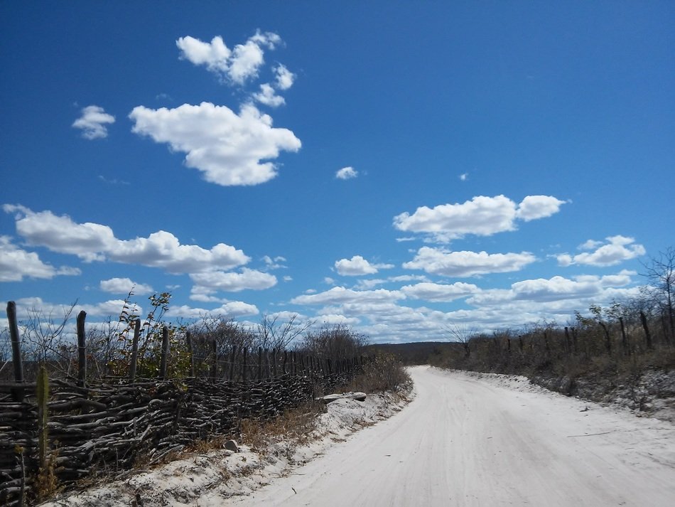 Road in Caatinga