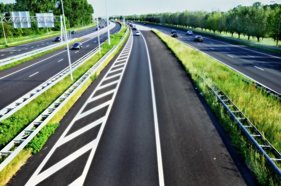 Landscape with the highway with the plants