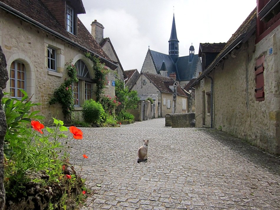 montrésor Village, France