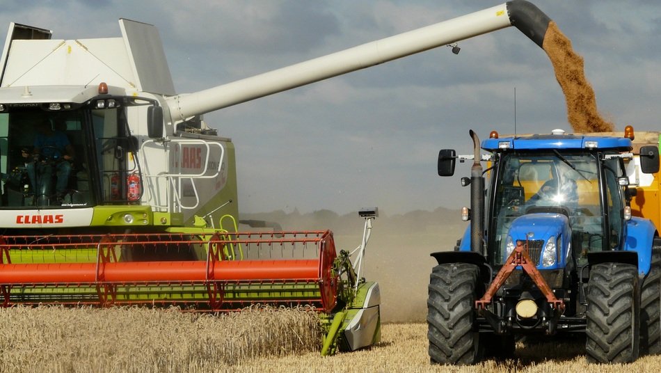 Collecting harvest in harvest time in countryside