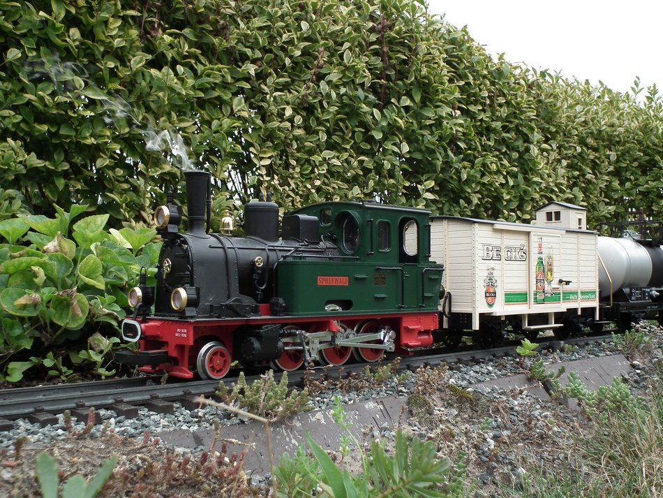 Steam locomotive in the garden