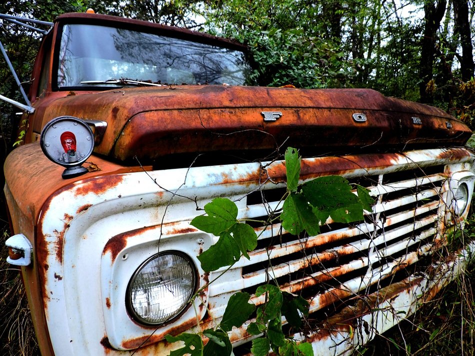 vintage truck in the forest