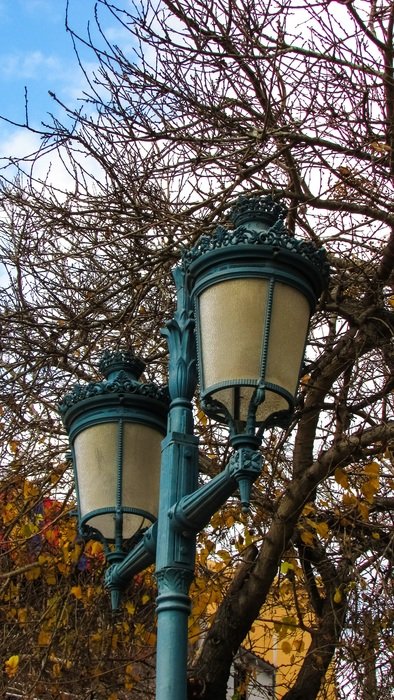 Beautiful lanterns and trees