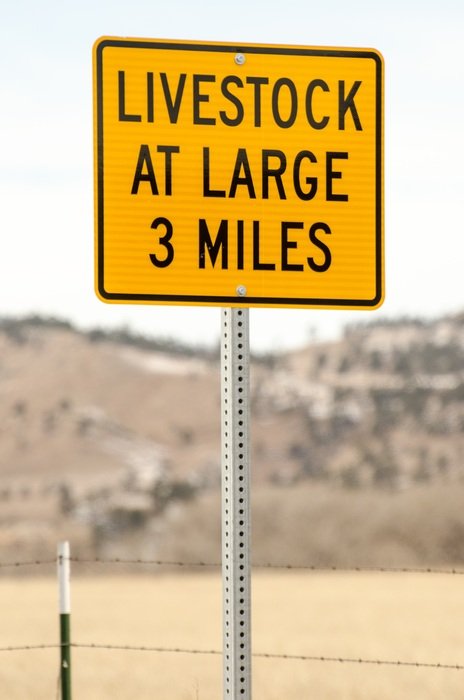Livestock At Large 3 miles road sign