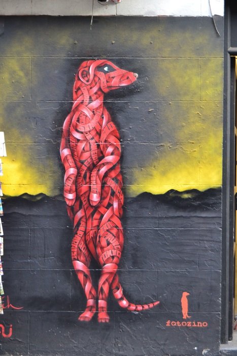 meerkat on the wall in London