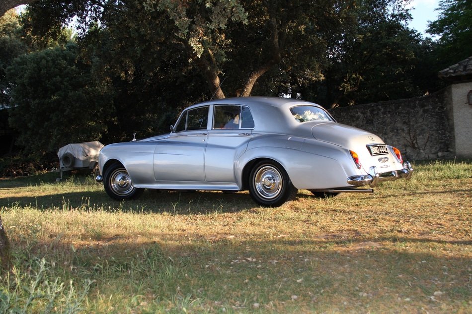 silver rolls royce car beneath tree