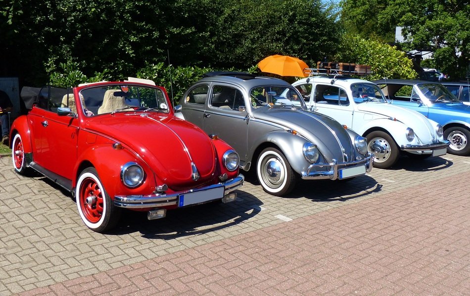 classic vw beetles