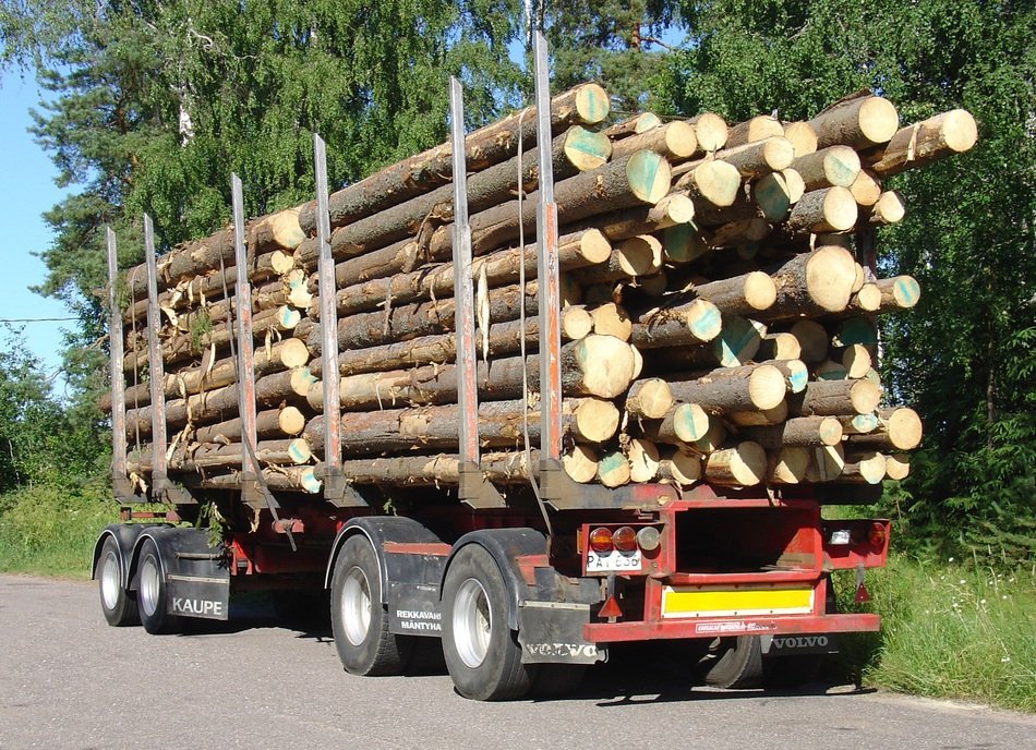 Picture of Vehicle transportates wood